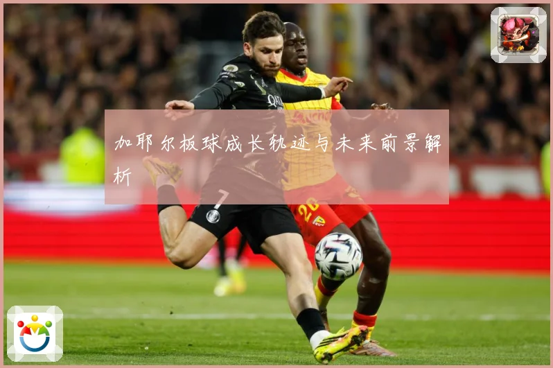 加耶尔板球成长轨迹与未来前景解析